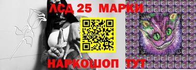 стафф Новозыбков