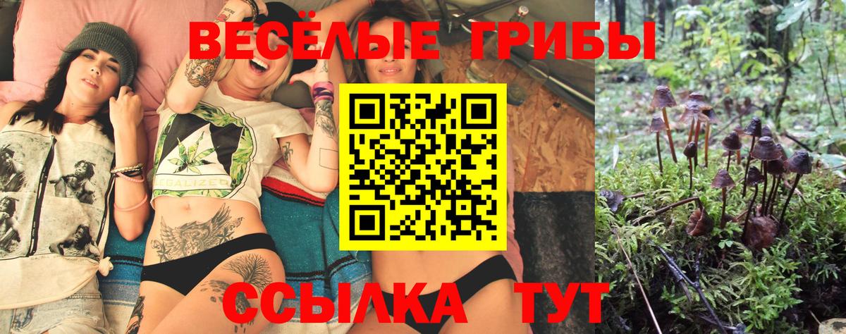 Чита  Галлюциногенные грибы Magic Shrooms  Вход с VPN 