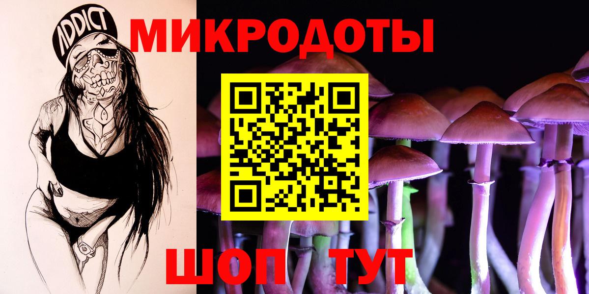 Галлюциногенные грибы Psilocybine cubensis Чита